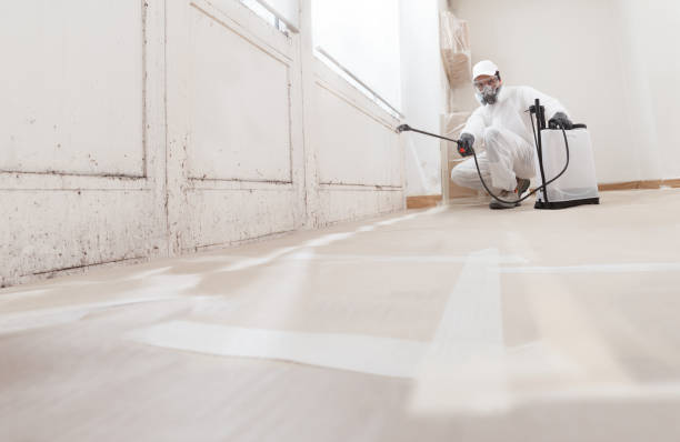 24/7 Emergency Mold Removal experts in Lawrence, MA