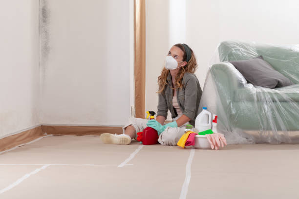 Reliable Mold Removal contractor in Lawrence, MA by WQB Mold Removal